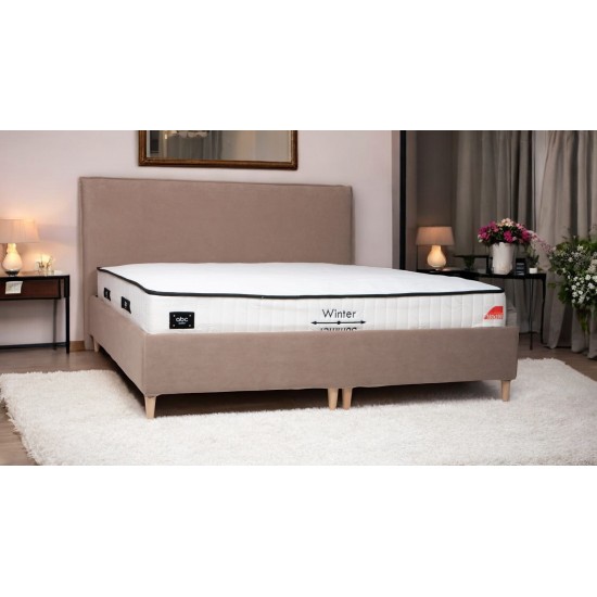 Bed with Storage Mika Classic Light gray