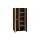 Colt 02 Gold craft oak/black - premium steel - 2D wardrobe