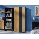 Colt 02 Gold craft oak/black - premium steel - 2D wardrobe
