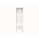 Goldin 02 Alpine white/White gloss - display cabinet