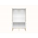Goldin 03 Alpine white/White gloss - display cabinet